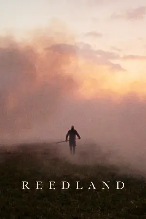 Край очерету