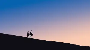 Задник до фильму"" #495591