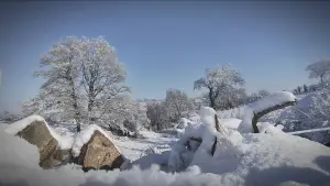 Задник до фильму"" #559460