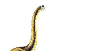 Задник до фильму"Парк Юрського періоду" #181493