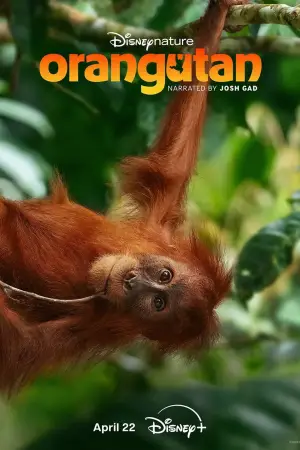 Постер до фильму"Orangutan" #798704