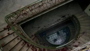 Задник до фильму"Одержимість" #803180