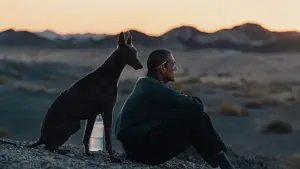 Задник до фильму"" #600712