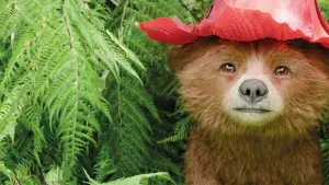 Задник до фильму"Пригоди Паддінґтона в Перу" #567619