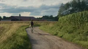 Задник до фильму"" #573834