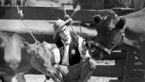 Задник до фильму"The Kid Brother" #768027