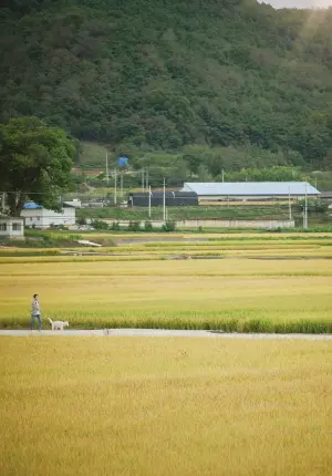 Постер до фильму"Маленький ліс" #396860