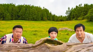 Задник до фильму"Панда патруль" #572752