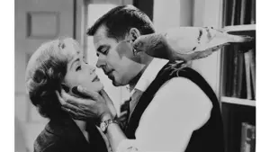 Відео до фільму The Gazebo | Gazebo - film trailer