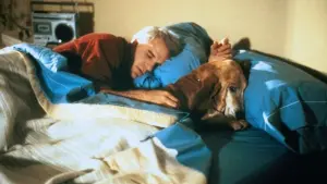 Задник до фильму"Самотній хлопець" #421001