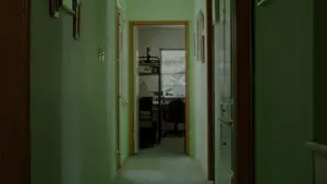 Задник до фильму"Середина 90-х" #211609