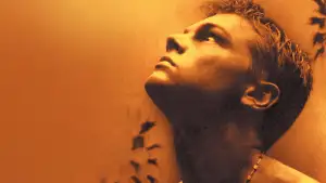 Задник до фильму"Пляж" #812972