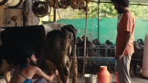 Задник до фильму"Плоди опунції" #803955