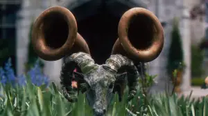 Задник до фильму"Гра в хованки: Я йду шукати" #795618