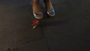 Задник до фильму"Без образ" #607442