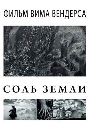 Сіль землі