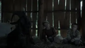 Задник до фильму"Відьма" #600186