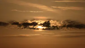 Задник до фильму"The Day: The Movie" #756391