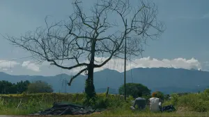 Задник до фильму"" #197029