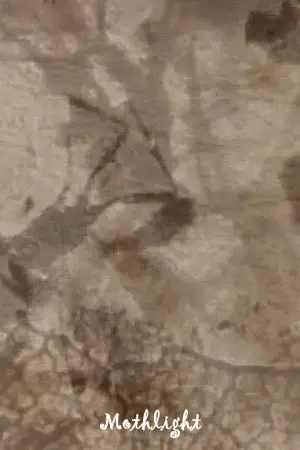 Постер до фильму"Метеликове світло" #703608