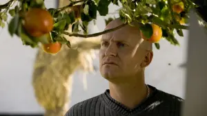 Задник до фильму"Адамові яблука" #214143