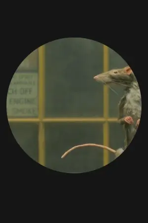 Постер до фильму"Щуролов" #344474