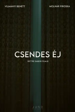 Постер до фільму "Csendes éj"