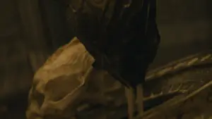 Задник до фильму"Хижак: Дикі землі" #507813