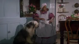 Задник до фильму"Приборкання норовливого" #238039