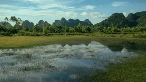 Задник до фильму"" #541333