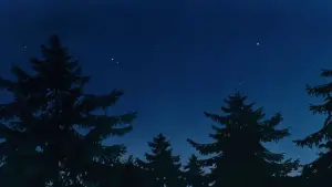 Задник до фильму"Відьмина служба доставки" #642693