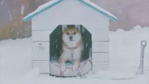 Задник до фильму"" #539896