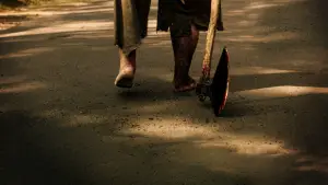 Сьогодні в лісі не до сну