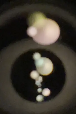 Early Experiments No. 2 / Looking Inside