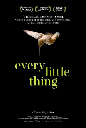 Постер до фильму"Every Little Thing" #791362