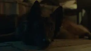 Задник до фильму"Самітник" #795474