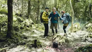 Задник до фильму"" #636480