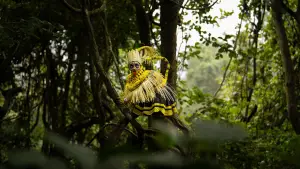 Задник до фильму"നരിവേട്ട" #781924