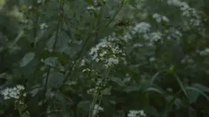 Задник до фильму"" #539086