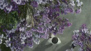 Задник до фильму"" #584225