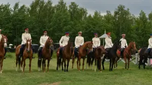 Задник до фильму"Анна Каренина. История Вронского" #482666