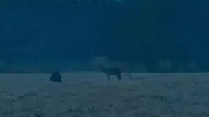 Задник до фильму"Зла не існує" #756361