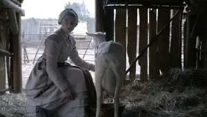 Задник до фильму"Відьма" #600159