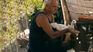 Задник до фильму"Приказната за Силјан" #784837