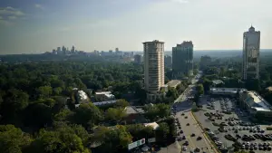 Задник до фильму"The Tree Economy" #775519