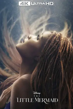 Постер до фильму"Русалонька" #5615