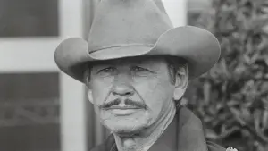 Задник до фильму"" #717724