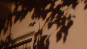 Задник до фильму"Бо Бернем: Усередині" #750520