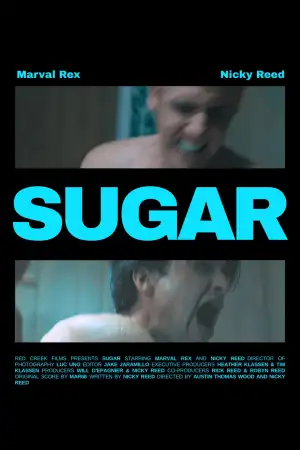 Постер до фільму "Sugar"