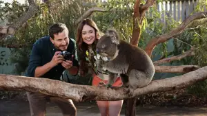 Задник до фильму"" #542331